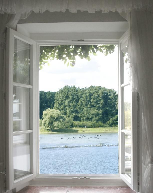Rhein River Guesthouse - Direkt Am Rhein Leverkusen Exterior foto