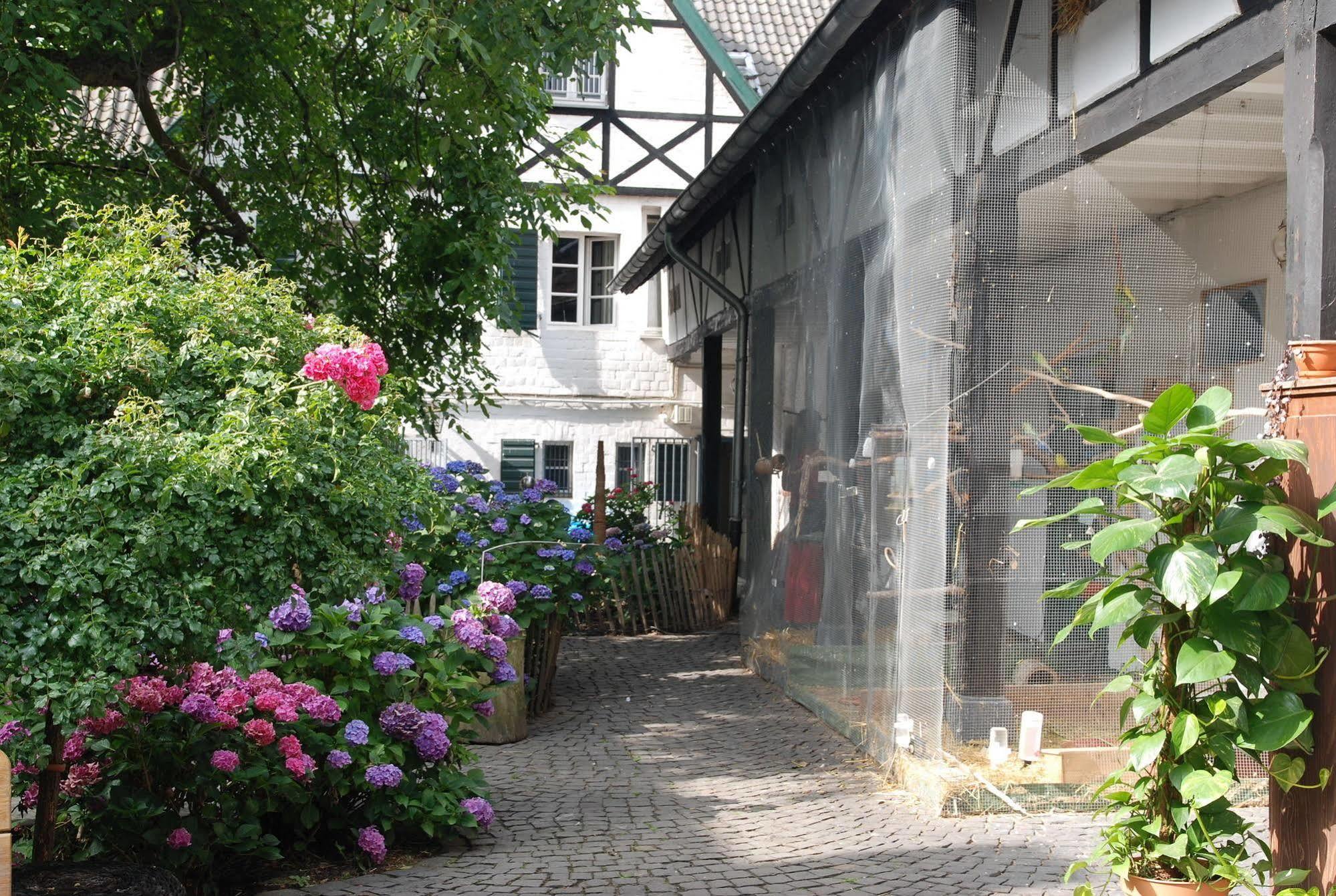 Rhein River Guesthouse - Direkt Am Rhein Leverkusen Exterior foto